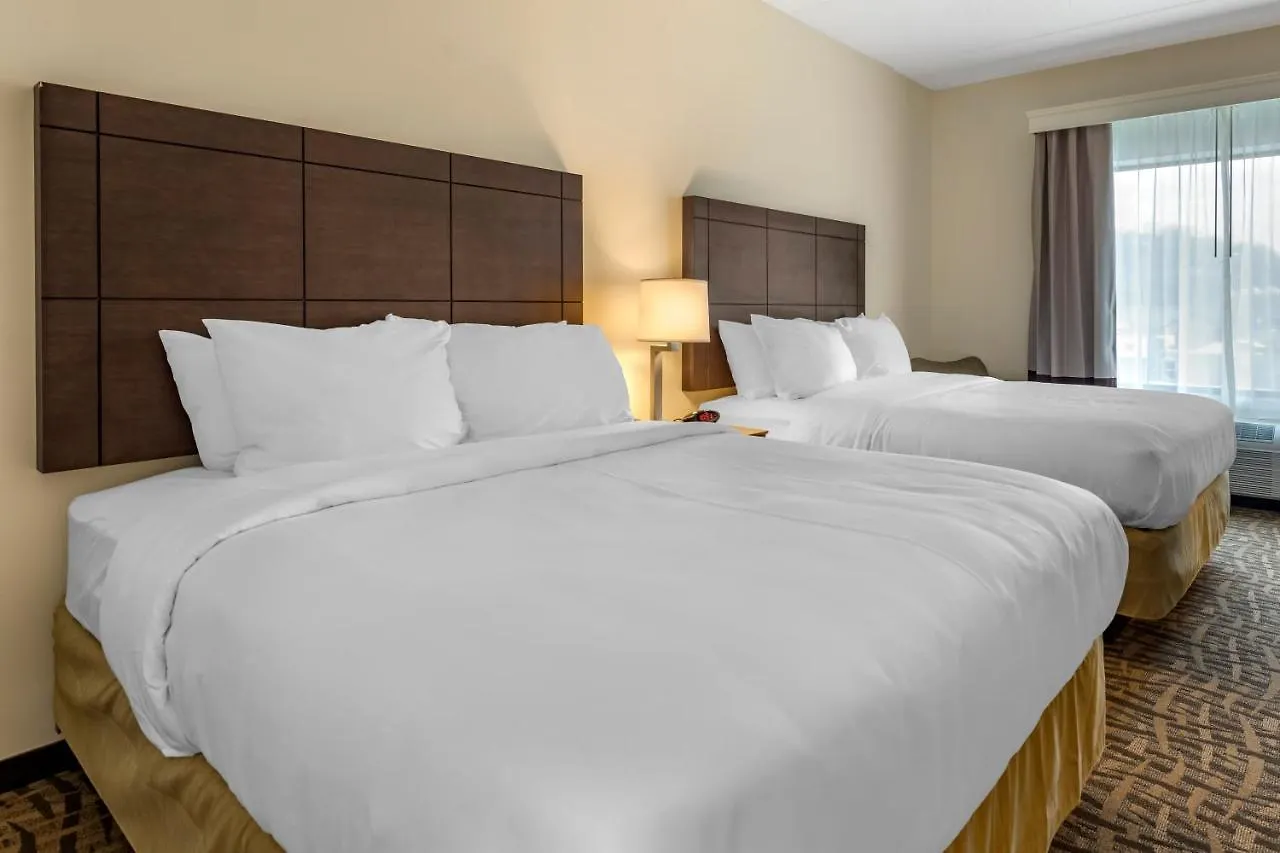 Comfort Inn & Suites Pittsburgh-Northshore ピッツバーグ